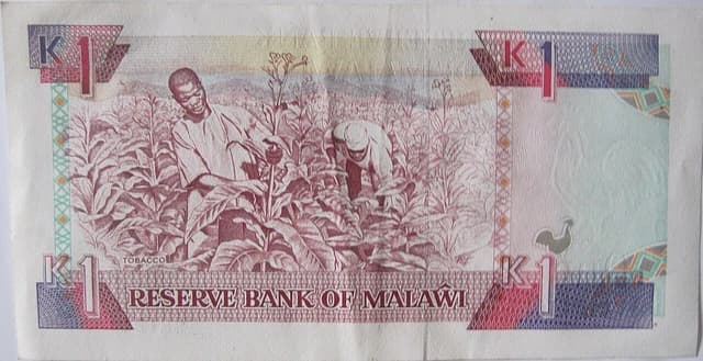 Front side of a 1 Kwacha banknote from Malawi, showing tobacco farmers and 'Reserve Bank of Malawi'.