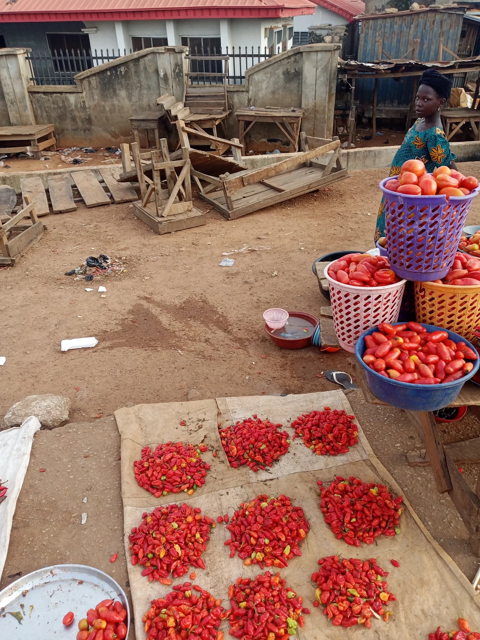Woman selling tomatoes and peppers at an outdoor Gamo food market.