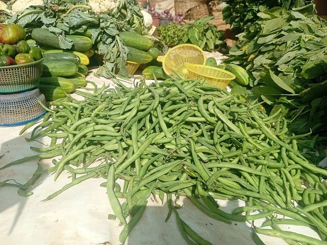 Green beans and other fresh vegetables on a vendor's stall at Bakin Dogo Market.
