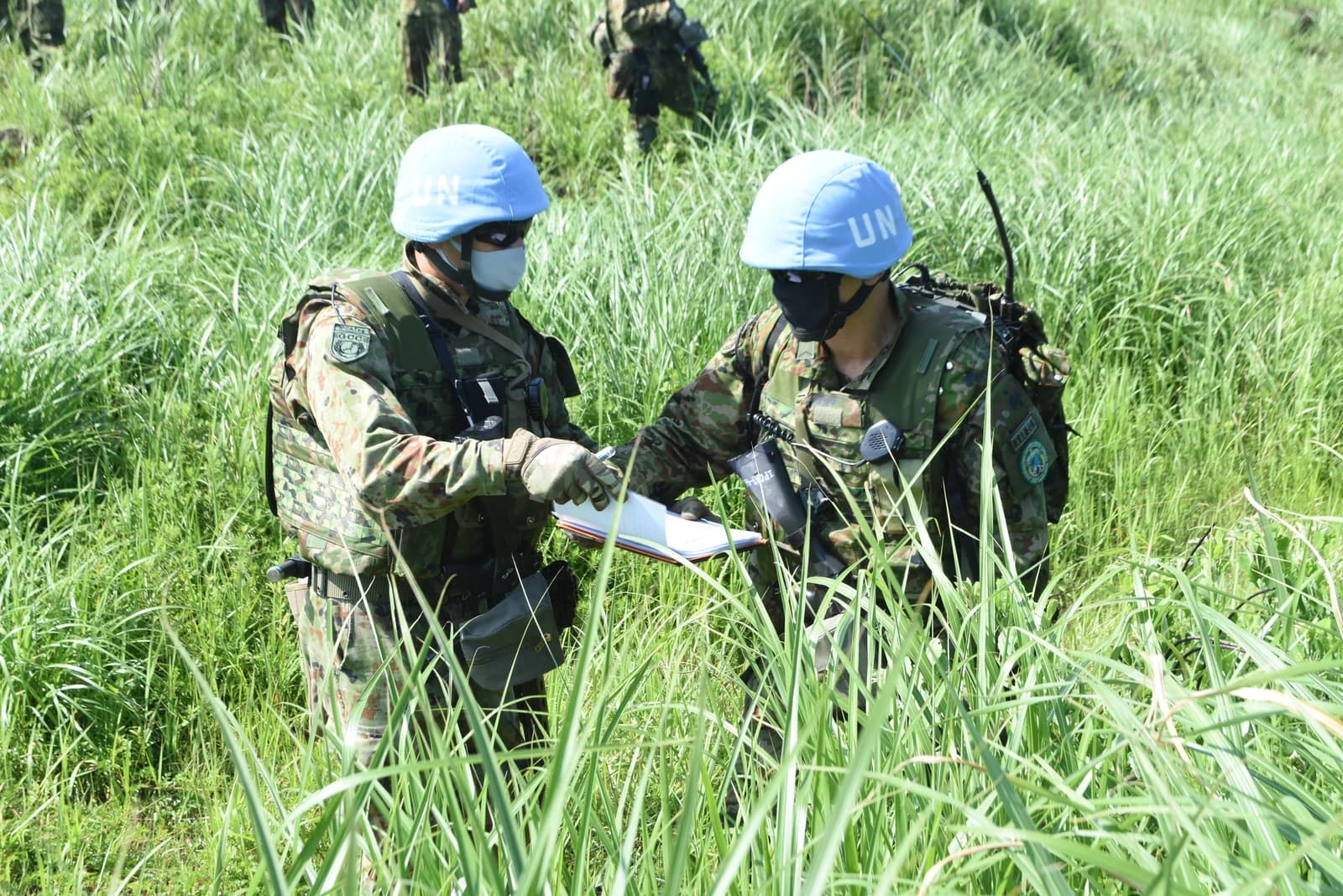 Two UN peacekeepers in camouflage uniforms and blue helmets review documents in tall grass.