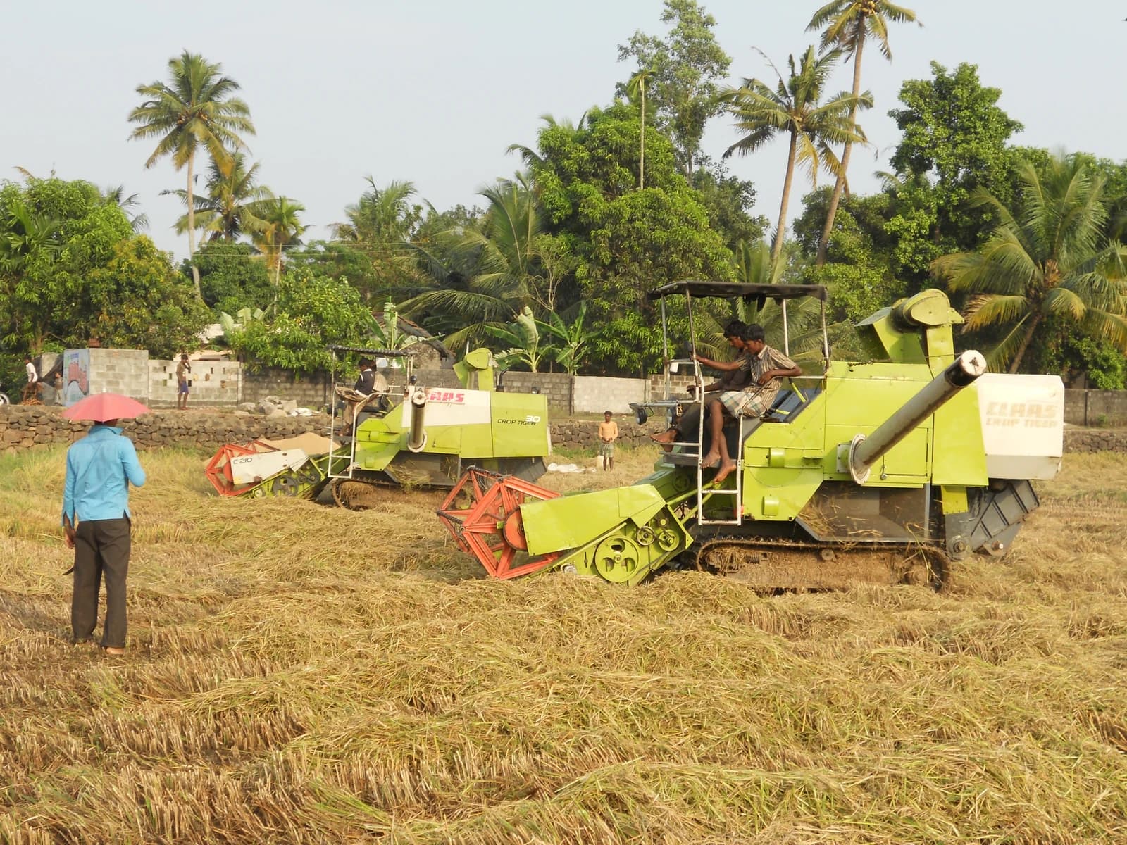 Combine harvesters in a field with workers during harvest.