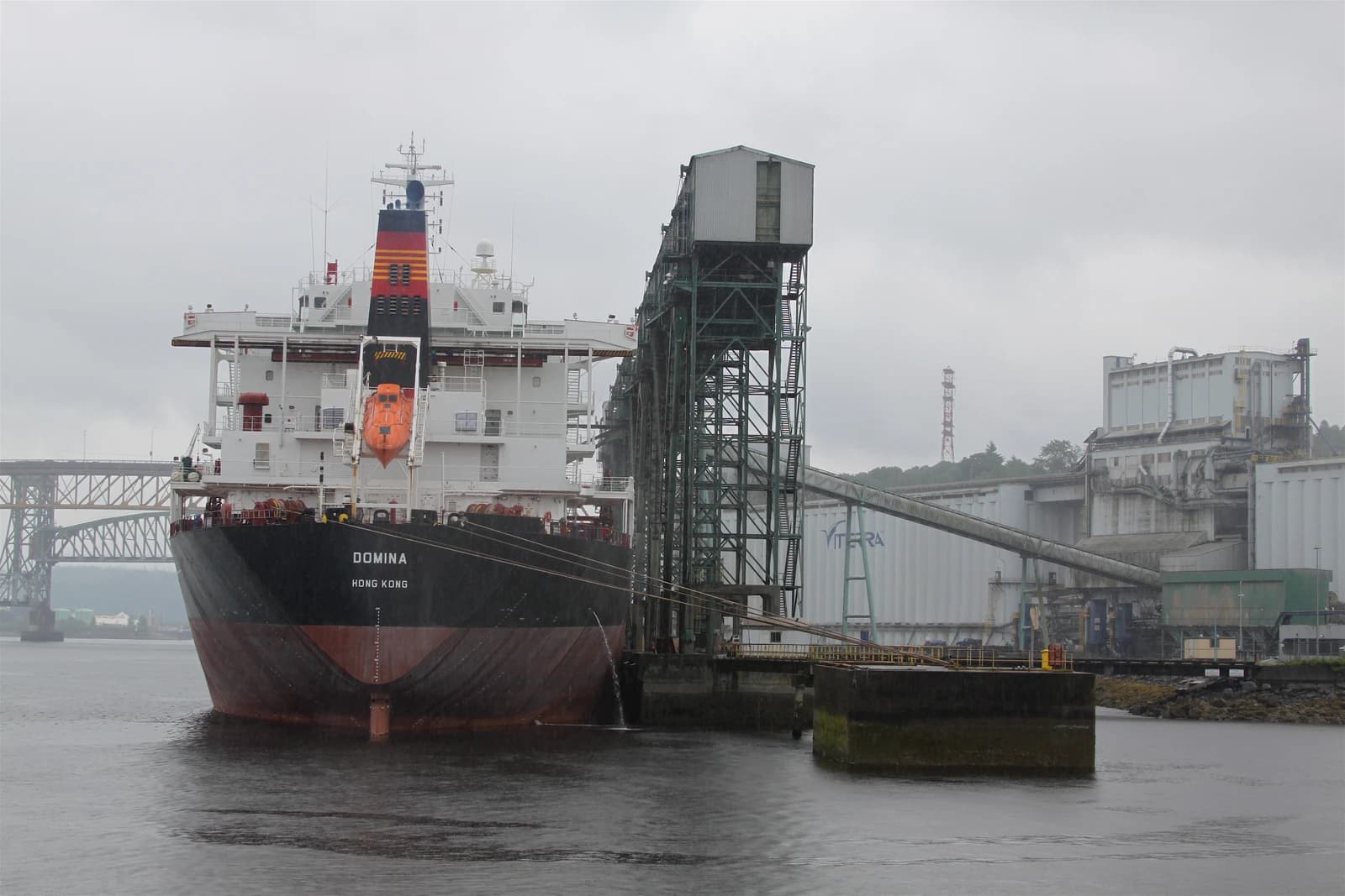 A large freighter named Domina, registered in Hong Kong, loading grain at a port.