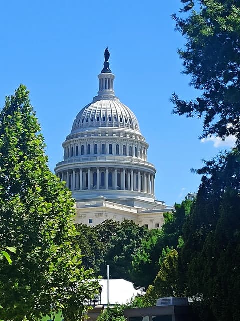 United States Capitol Building with trees in the foreground under a clear blue sky.