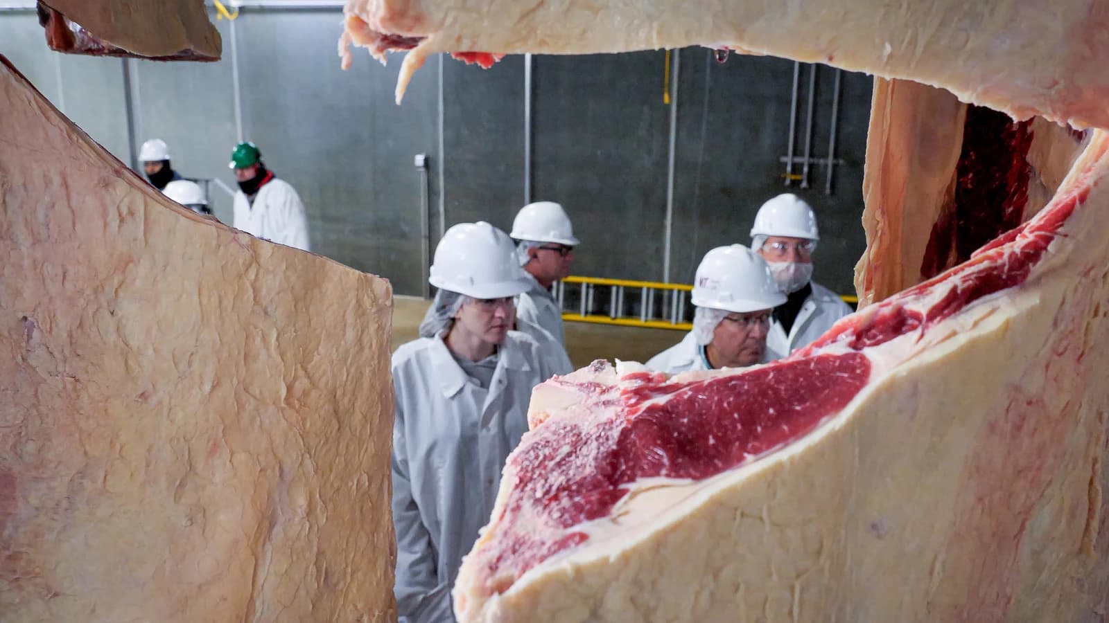 Agricultural Commodity Graders and Market News Reporters observing meat inside a packing plant.