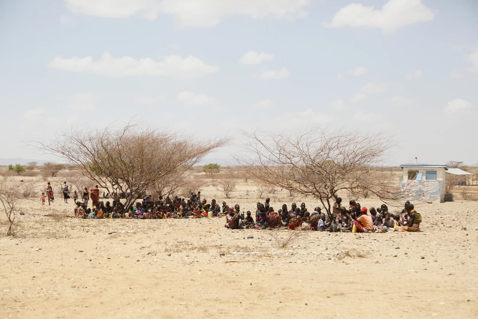 Women and children gathered under trees at a health clinic in Kapua, Turkana County, Kenya.