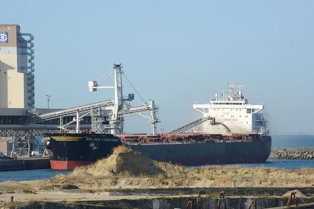 The bulk carrier Golden Endeavour being loaded with grain at a port.