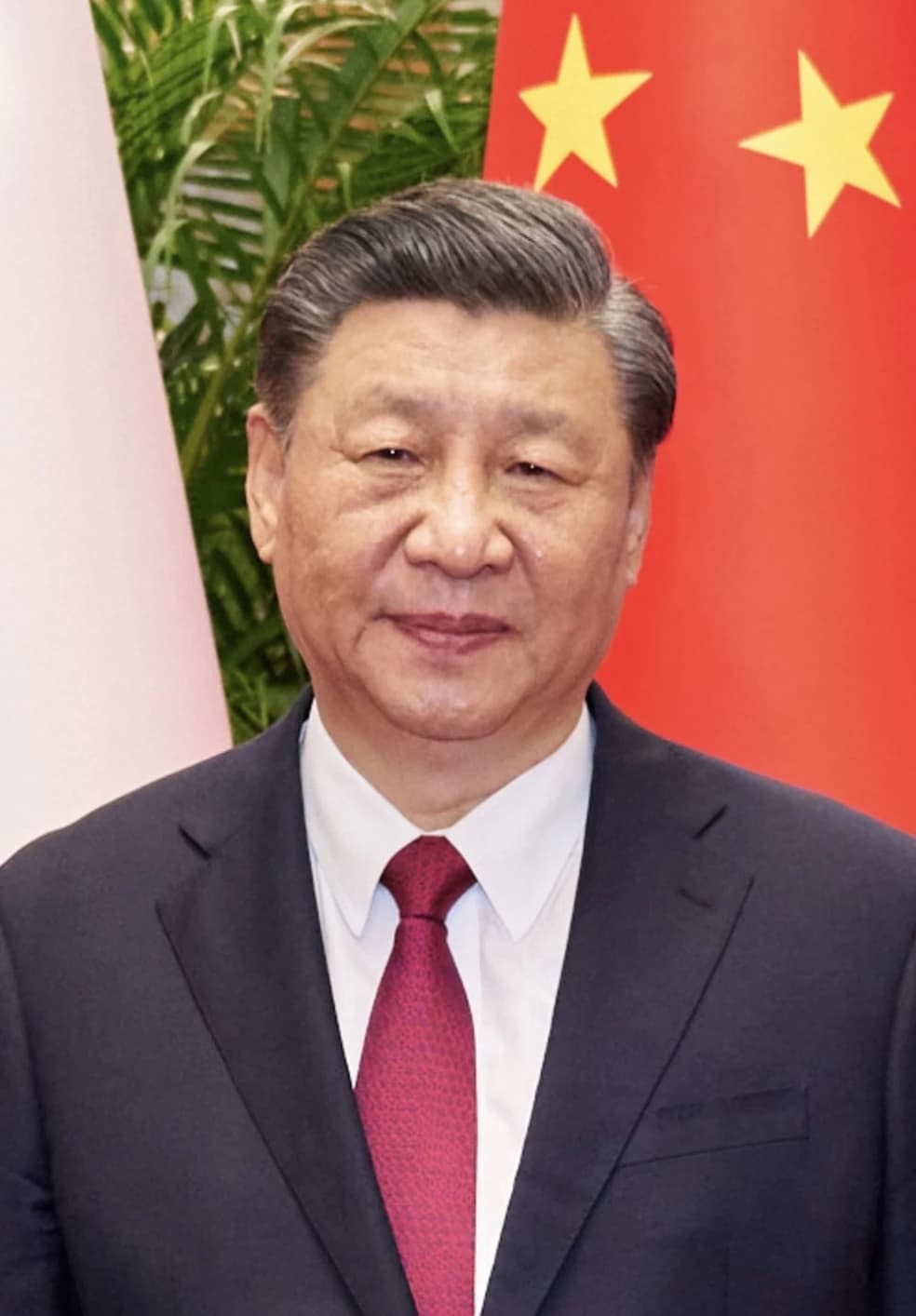 Xi Jinping, President of China, looking towards the camera.