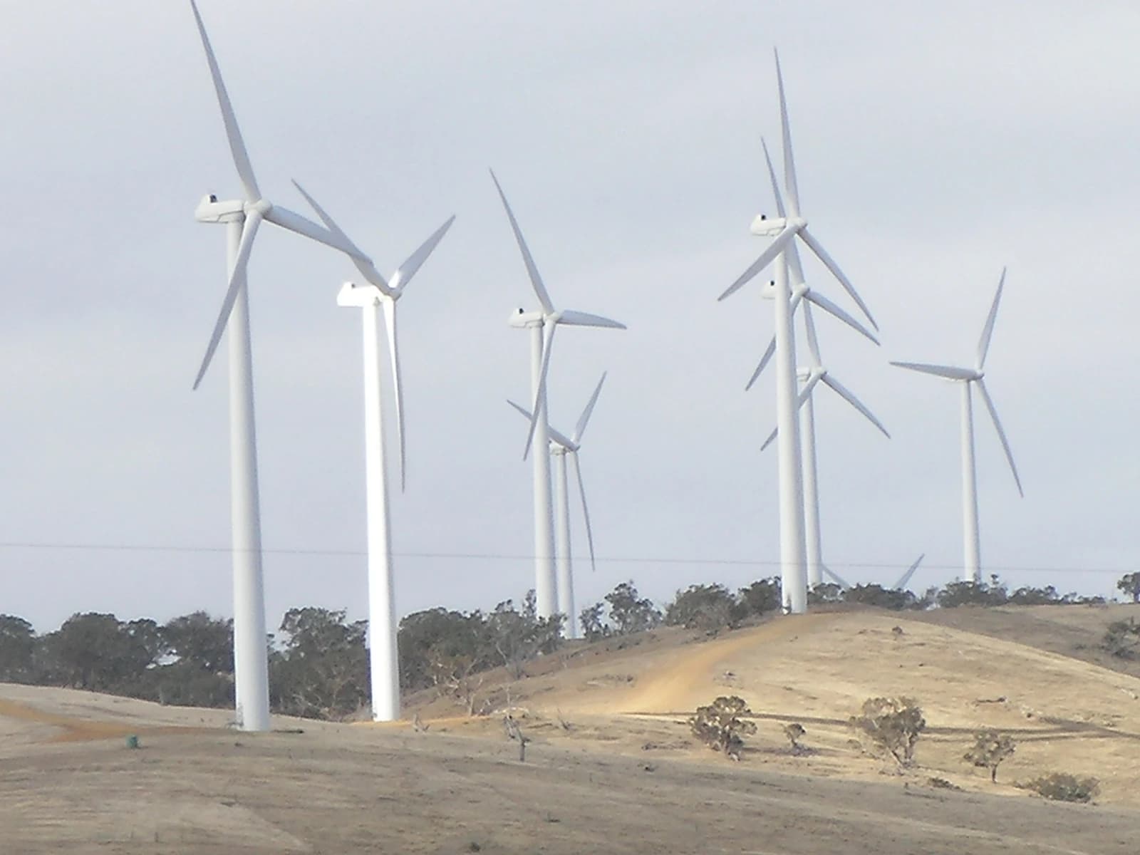 Several white wind turbines stand on a dry, hilly landscape under a grey sky.