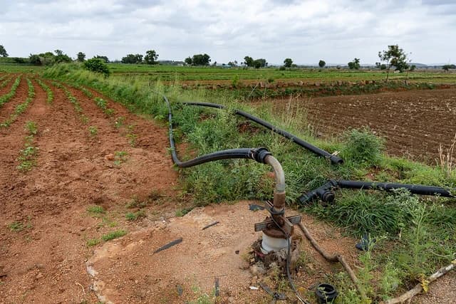 Borewell pump and black irrigation pipes on reddish-brown soil in a cotton field under a cloudy sky.