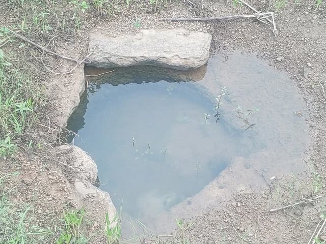 Groundwater collected in an excavated basin in a rural, arid landscape with scattered vegetation.