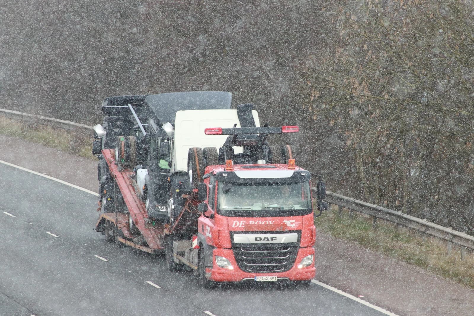 Red DAF truck transporter with license plate FZA 40591 drives on a snowy road.