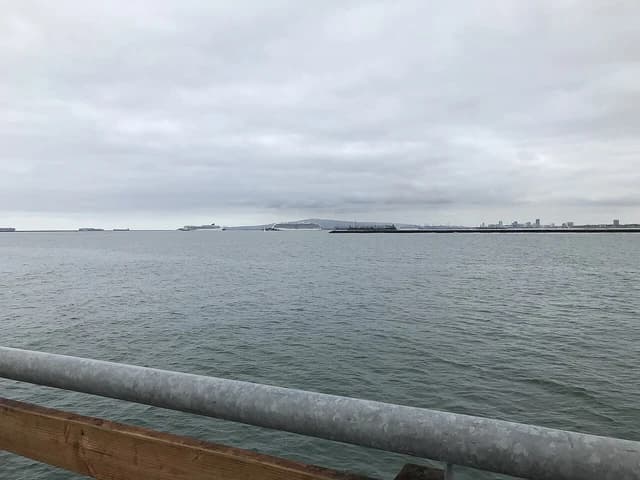Container ships lined up in a harbor with a distant city skyline under a grey sky.