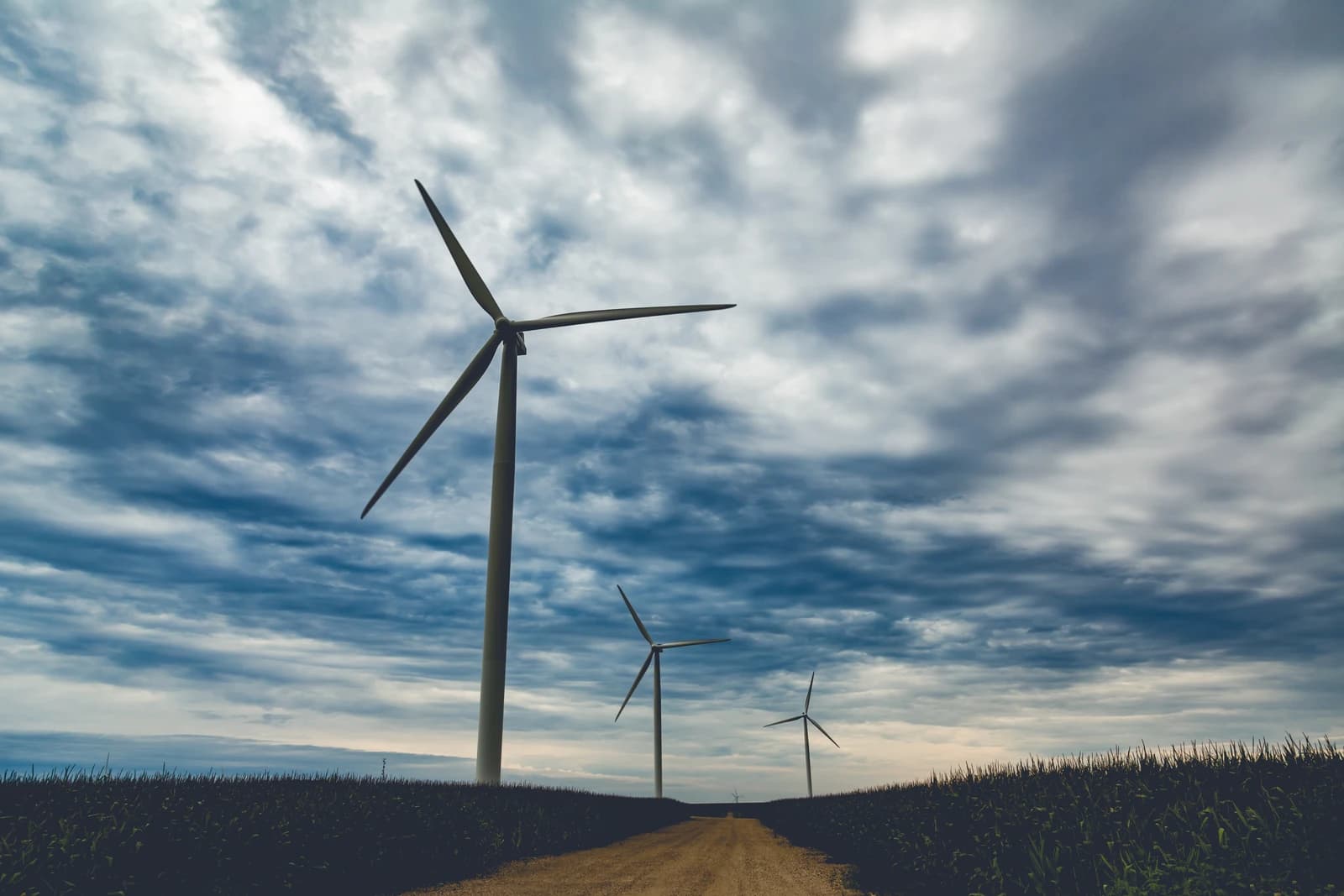Three wind turbines at Pioneer Prairie Renewable Energy Wind Farm in Iowa.