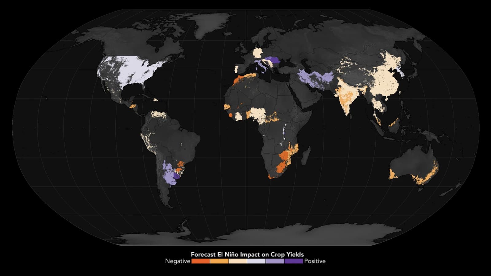 World map showing forecast El Niño impact on crop yields, with color-coded regions indicating positive or negative outcomes.