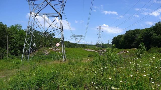 Multiple large power line towers traversing a green, overgrown field under a bright blue sky.