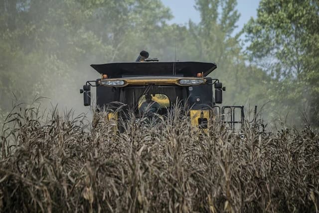 Combine harvester operates in a dusty field of brown, dry crops.