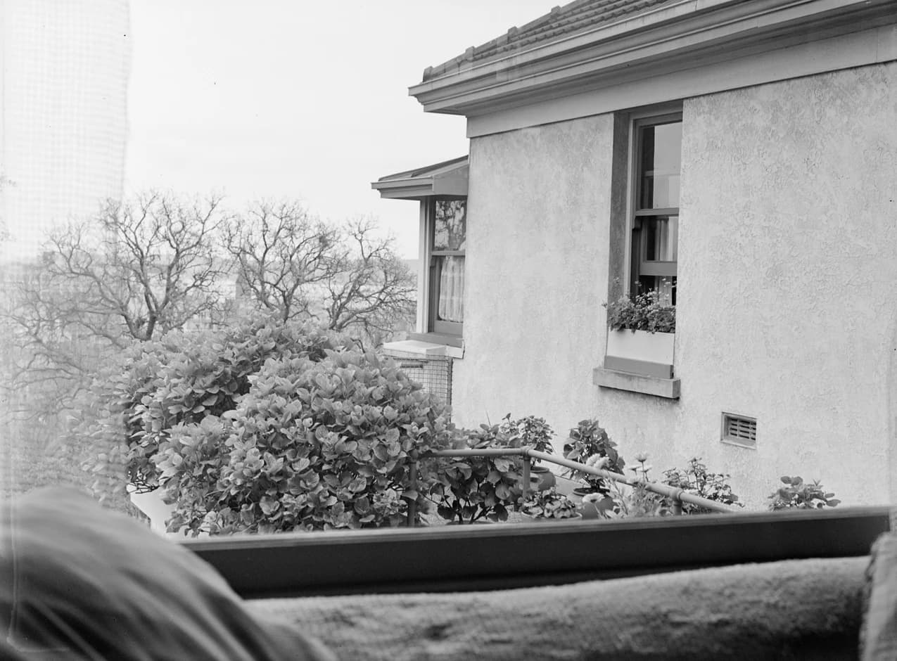 Exterior of a residential house with a garden, seen from a window.