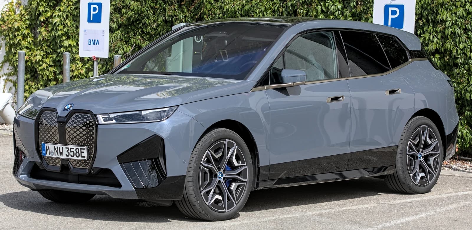 A gray BMW iX electric SUV is parked with a green leafy background.