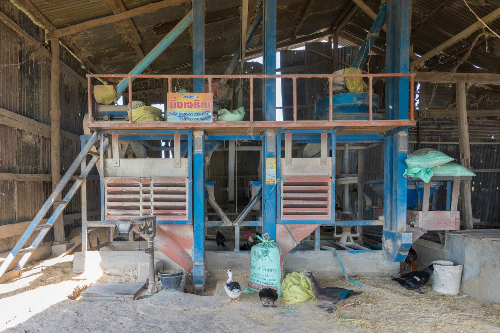 Interior of a traditional rice mill with machinery, sacks of rice, and several ducks and chickens on the ground.