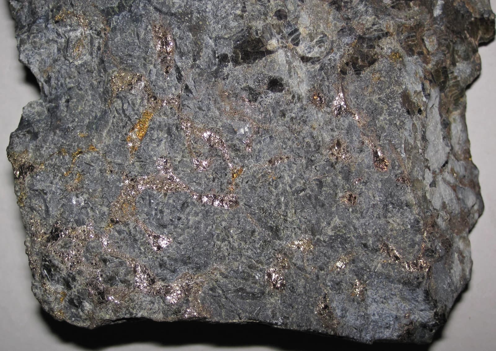Sulfidic serpentintite, a platinum-palladium ore, showing metallic specks embedded in gray rock.
