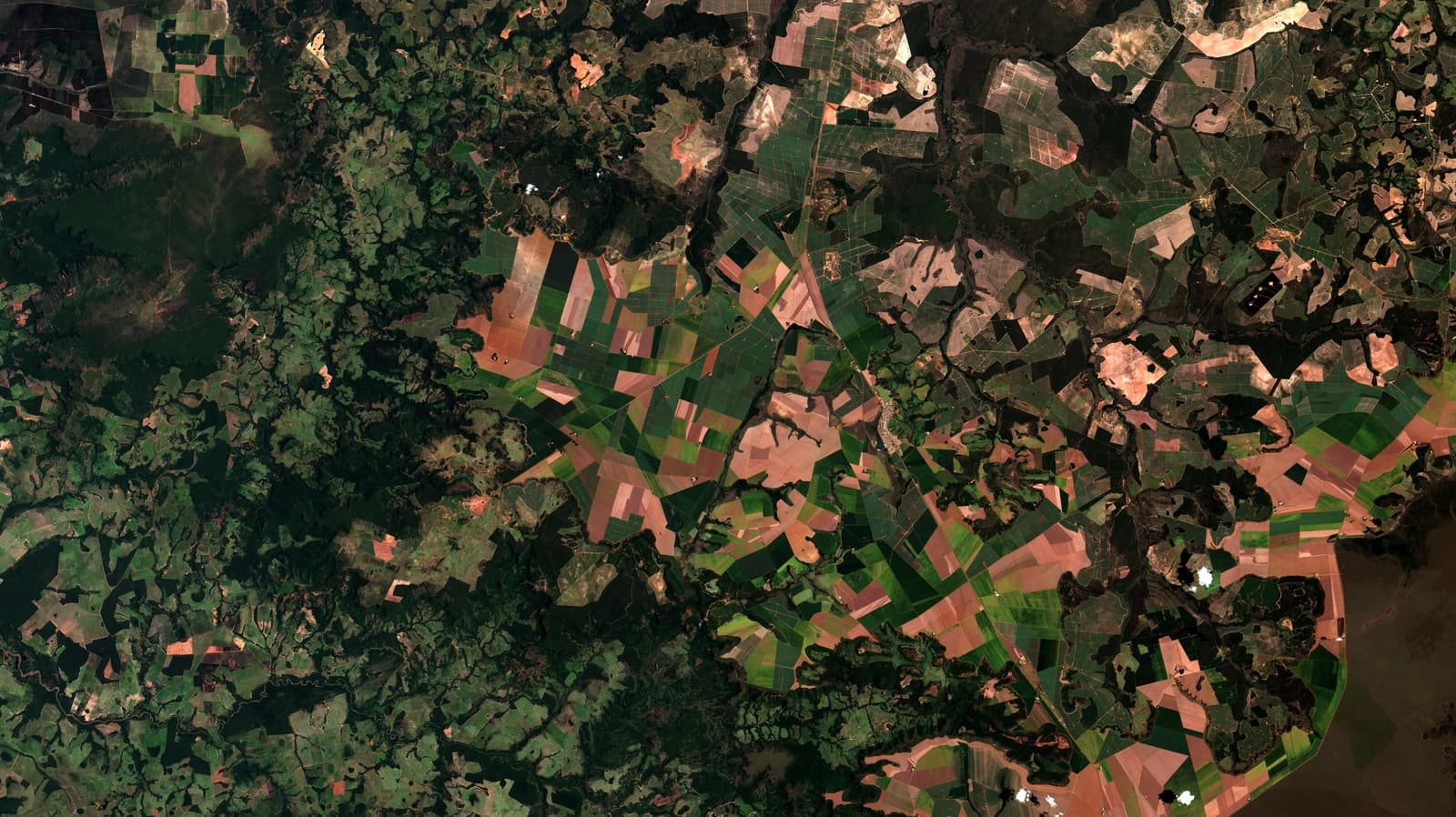 Satellite view showing a mosaic of green forests and brown and green agricultural fields.