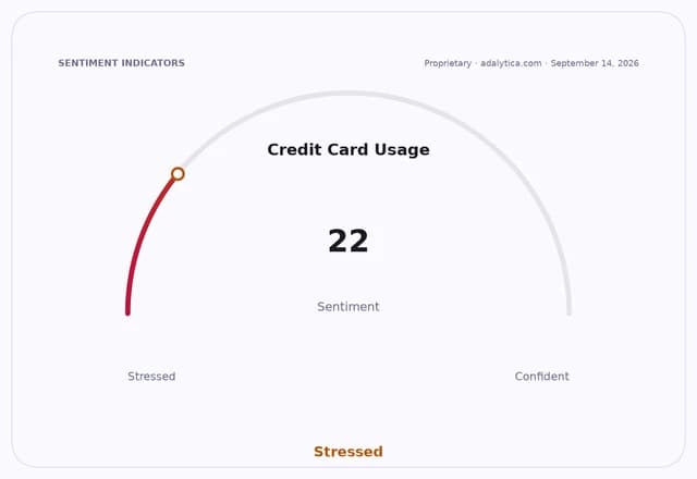 Sentiment gauge dial showing Credit Card Usage at 22, indicating a Stressed sentiment.