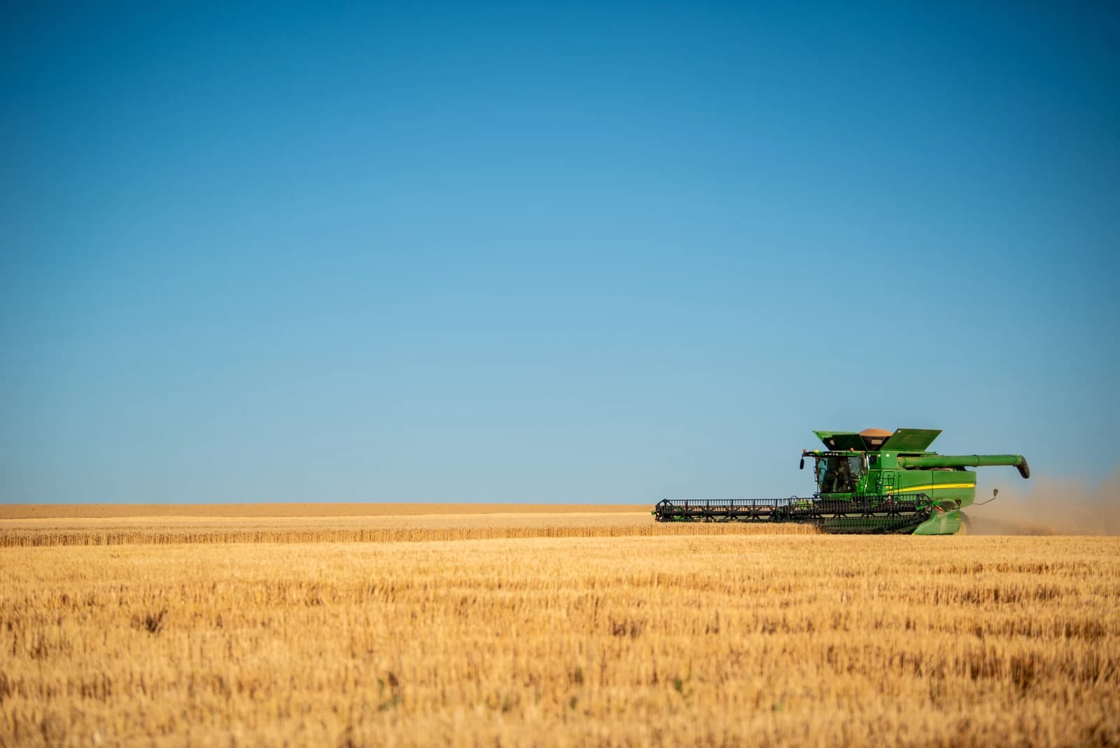 Green combine harvester moving through a field of golden wheat under a clear sky.