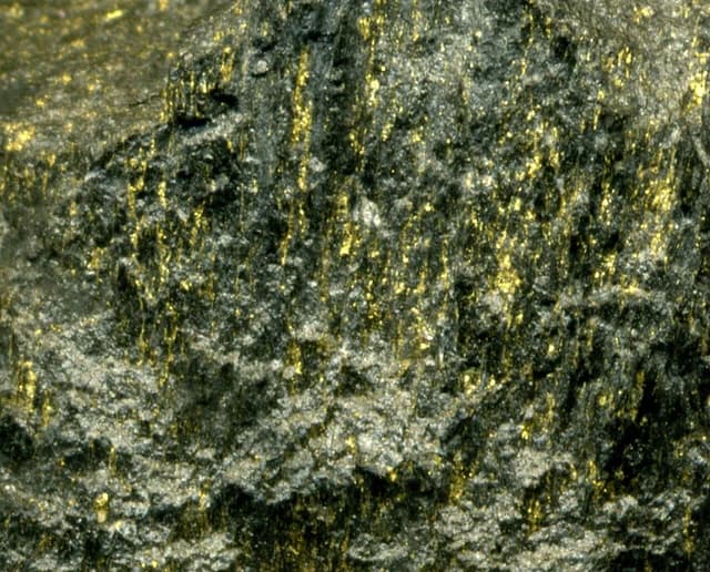 Close-up of gold ore, showing shiny flecks of gold embedded in dark rock.