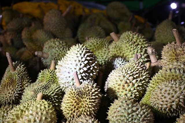 Pile of spiky green durians glowing under stall lights at a night market.