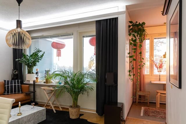 Interior of a studio apartment in Finland featuring living area and plants.