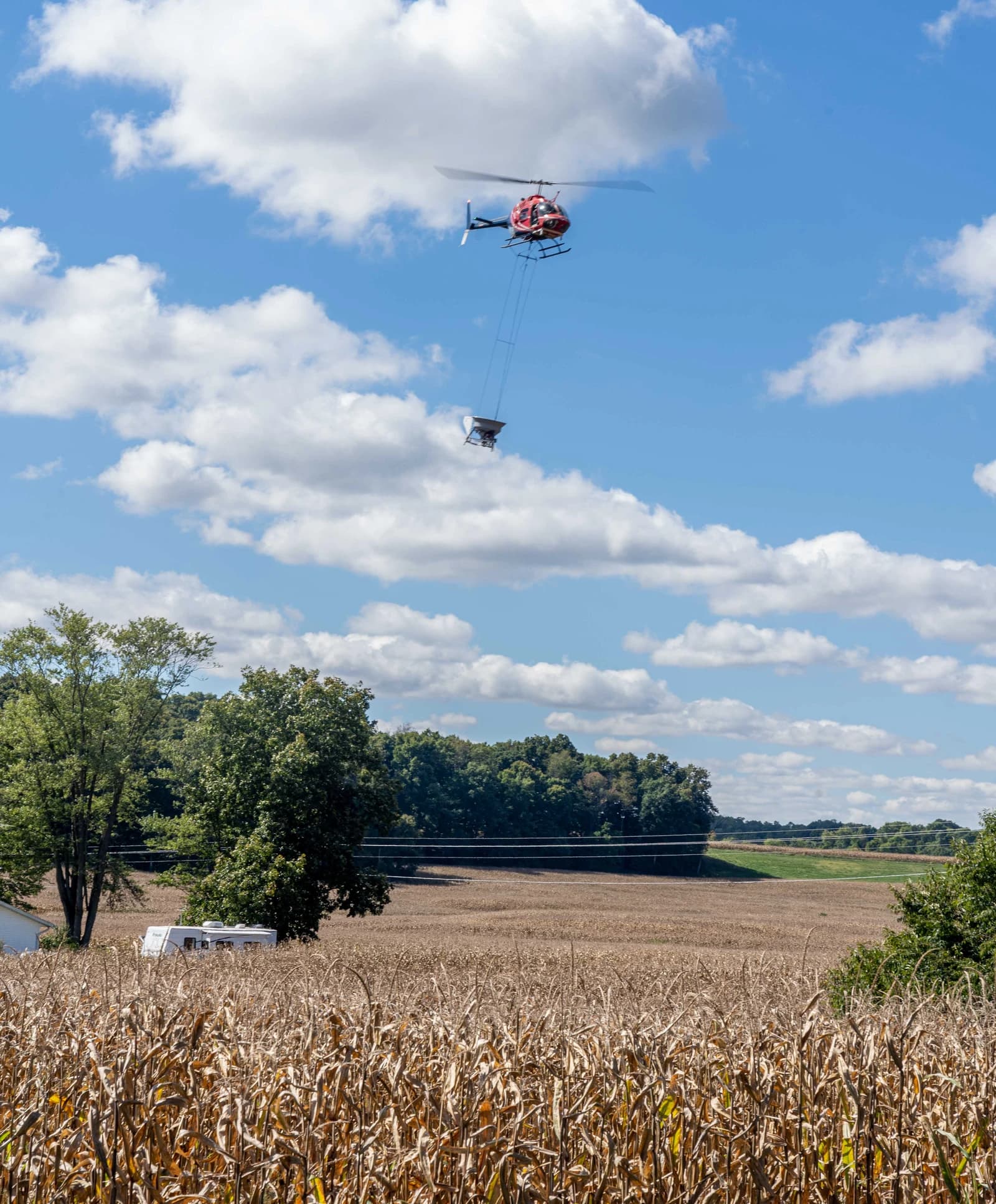 Helicopter flying over a field, dropping cover crop seeds.