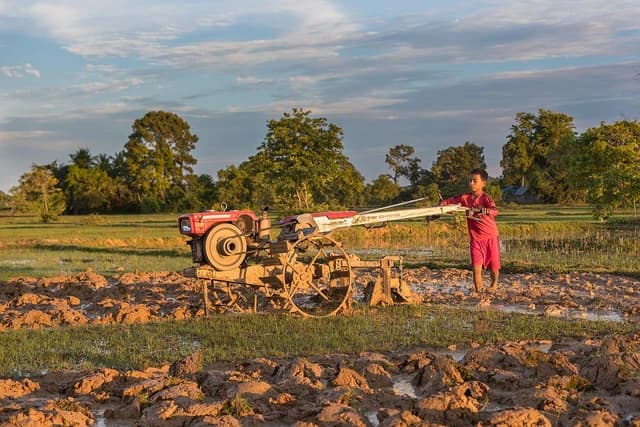 A boy plowing a muddy field with a small red tractor at sunset.