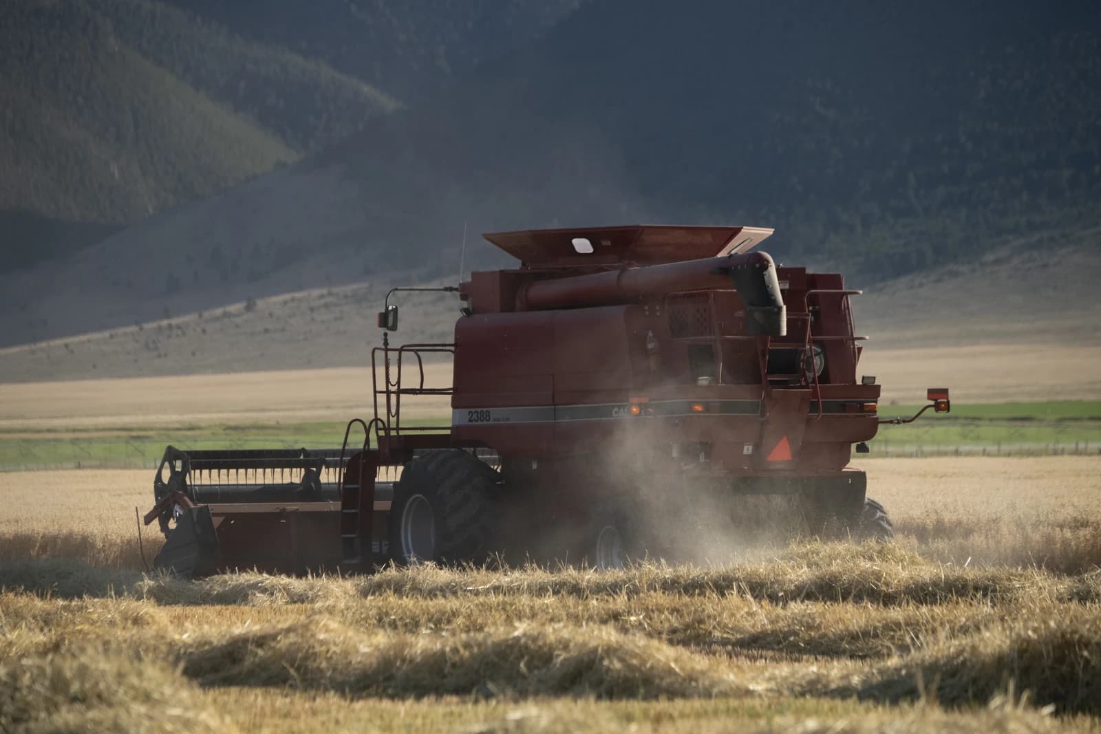 A red combine harvester works a field, cutting and threshing a crop.