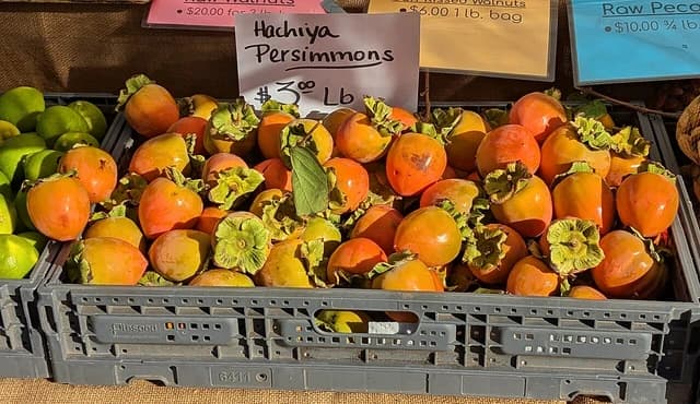 Hachiya persimmons with green tops in a gray crate at a market.