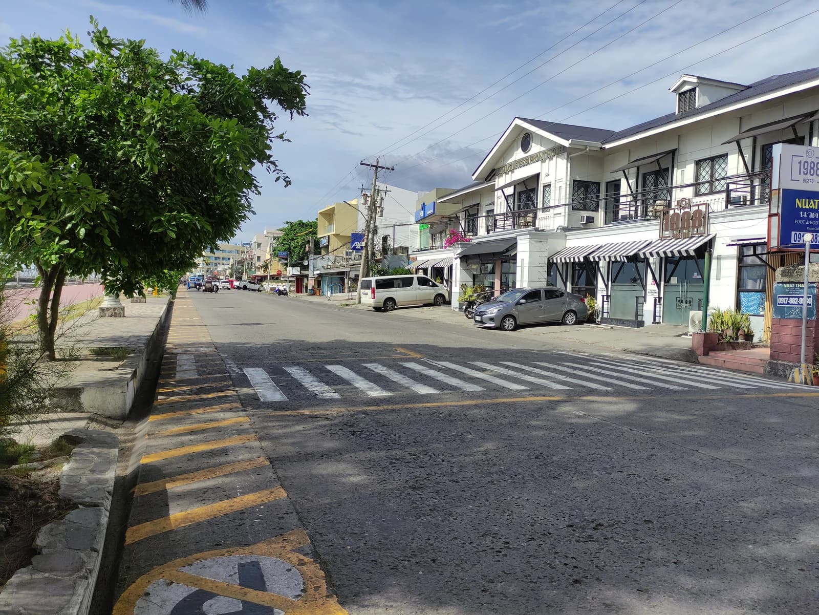 Commercial buildings lining a street with parked cars and a tree in Dumaguete.