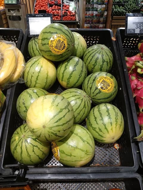 Watermelons with green stripes and yellow labels in a black crate in a store.