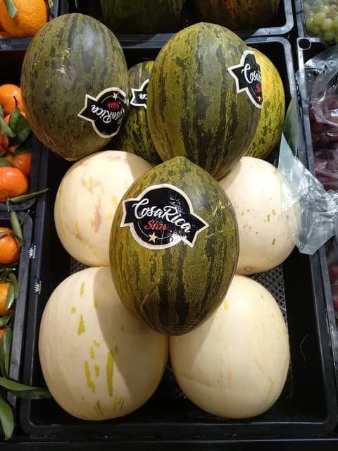 Piel de Sapo and Honeydew melons displayed for sale in crates.