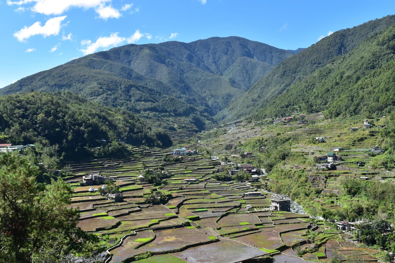 Overview of rice terraces with fields and small structures nestled in a valley.