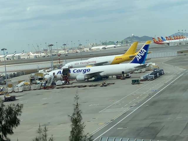 DHL and ANA cargo planes parked on an airport tarmac.