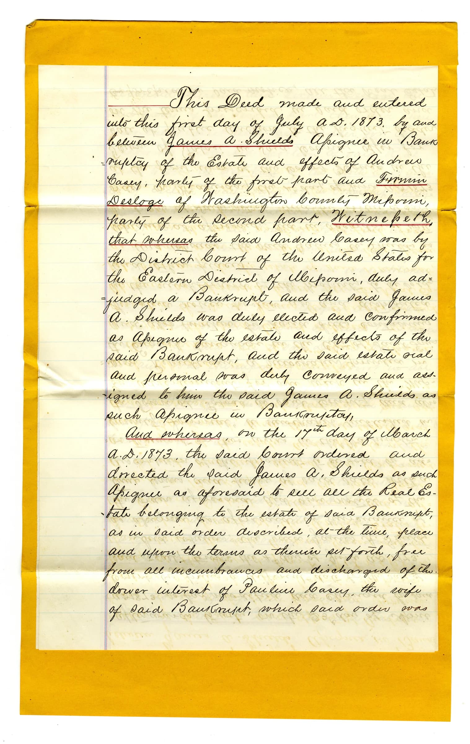 An 1873 handwritten deed detailing a bankruptcy proceeding with names and dates.