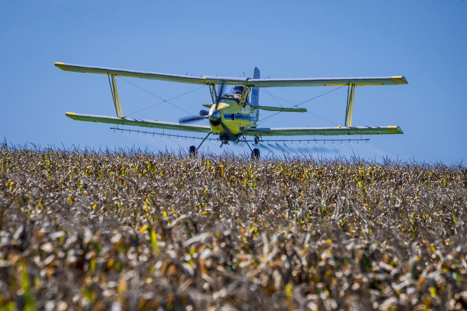 Agricultural biplane flying low over a field, spraying crops.