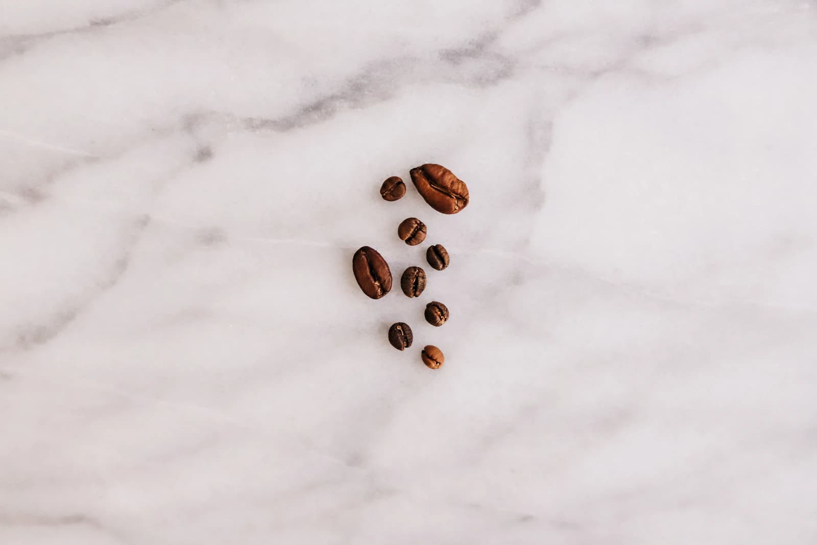 Racemosa, Liberica, and Arabica coffee beans displayed on a white marble surface.