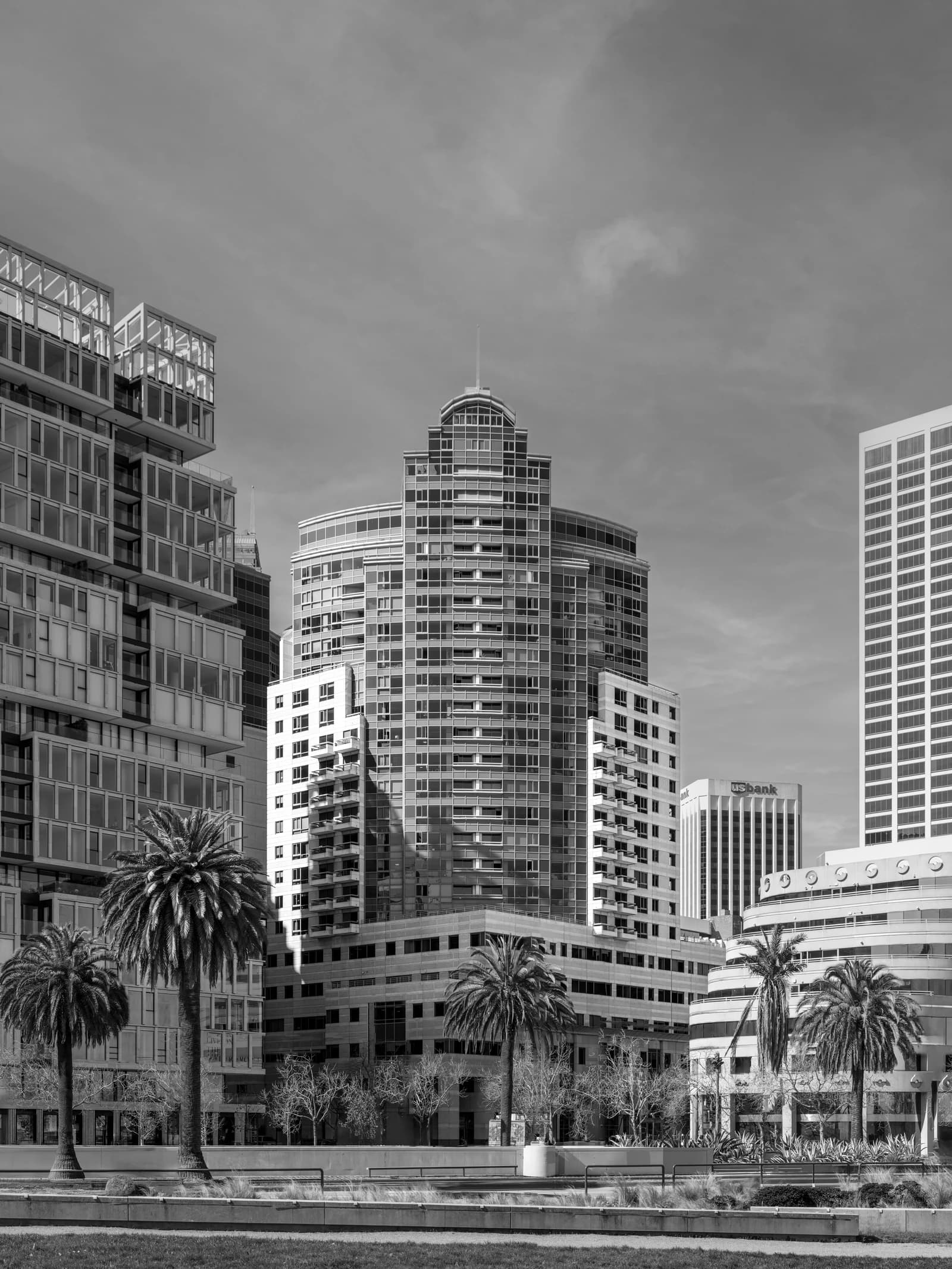 San Francisco skyscrapers and palm trees under a cloudy sky.