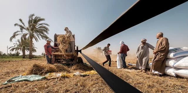 Farmers using machinery to harvest wheat in an agricultural field.