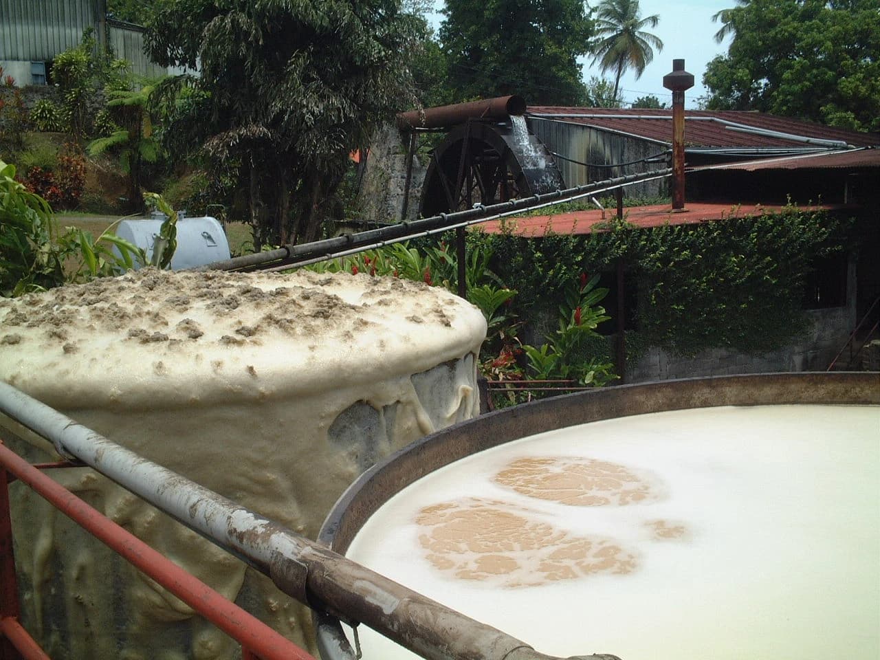 Two large open-top tanks filled with bubbling liquid and foam at a rum distillery.