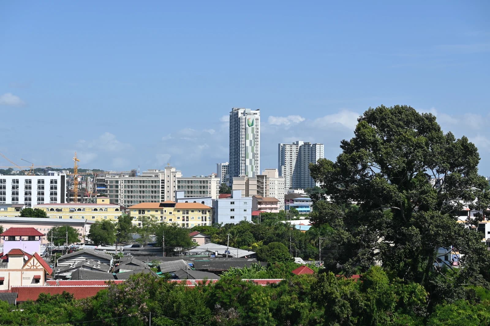 Sunny urban skyline with mid-rise buildings and tall residential tower rising behind leafy trees.