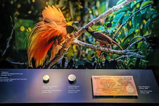 Papua New Guinea 20 Kina banknote and coins on display at a museum.
