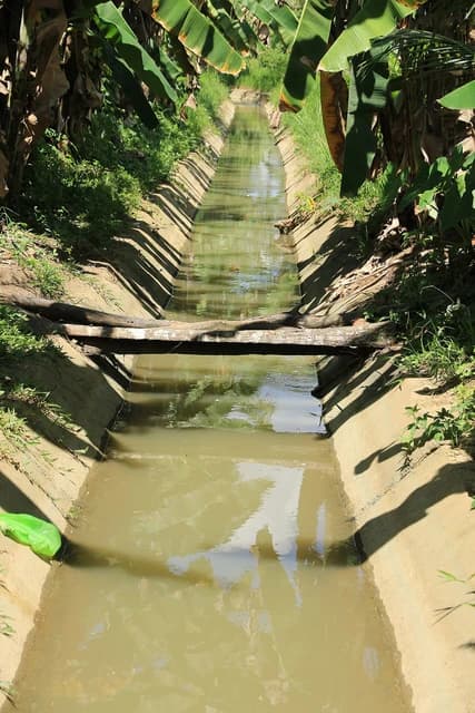 A concrete irrigation canal filled with water runs between lush green vegetation.